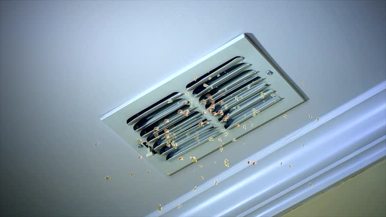 Best Air Duct Cleaning Near Me  in Clare, MI