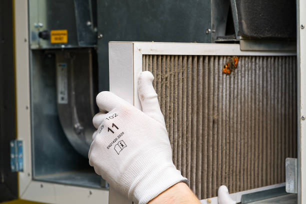 Best Affordable HVAC Duct Cleaning  in Clare, MI
