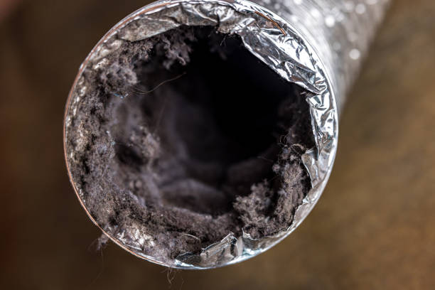 Best HVAC Maintenance and Cleaning  in Clare, MI